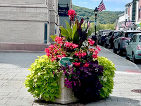 plantings