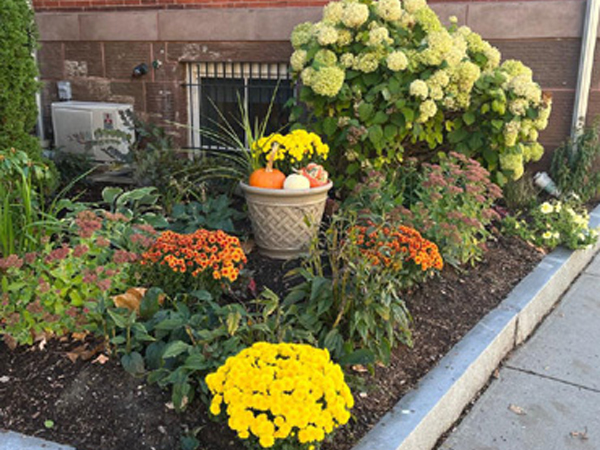 town hall garden